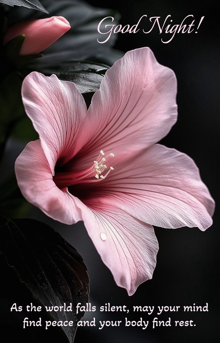 good night images with flowers and quotes