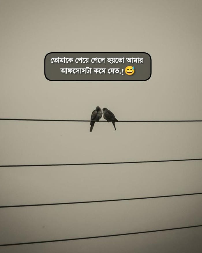 heartbreak bengali shayari photo