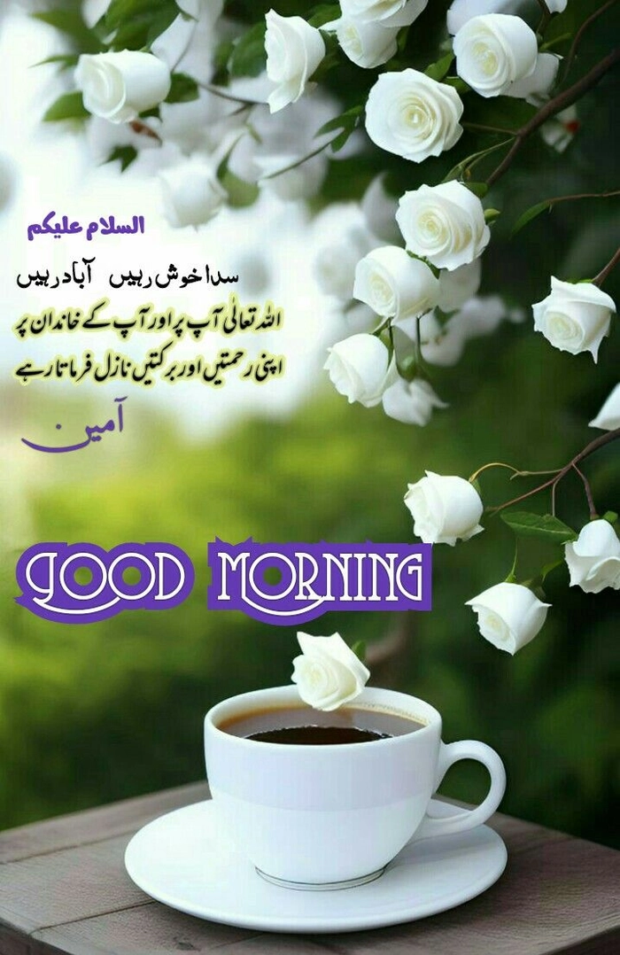 in urdu good morning