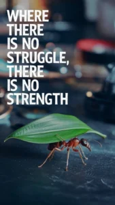 167+ Bengali Motivational Quotes To Inspire Your Day