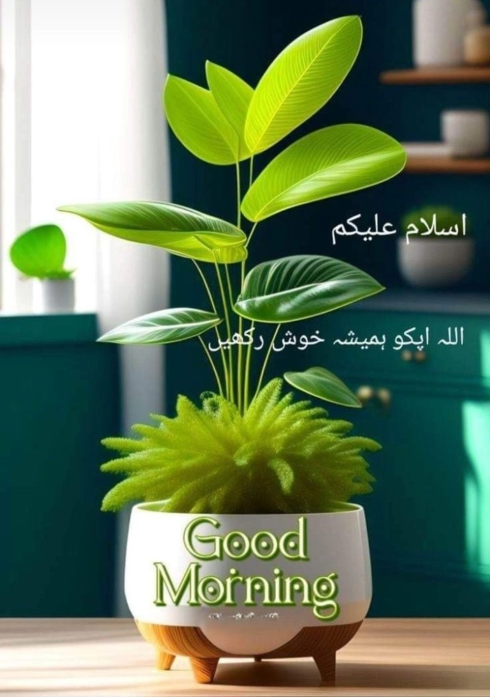 islamic good morning images in urdu with dua