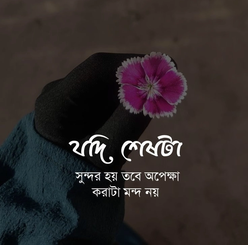 love sad shayari in bengali