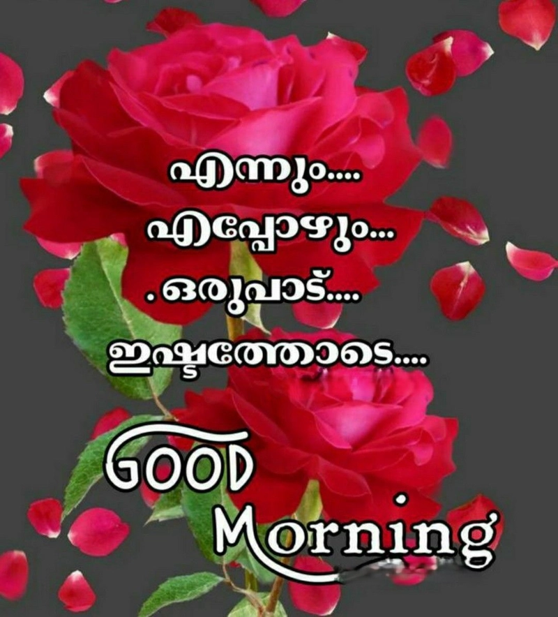 malayalam good morning images