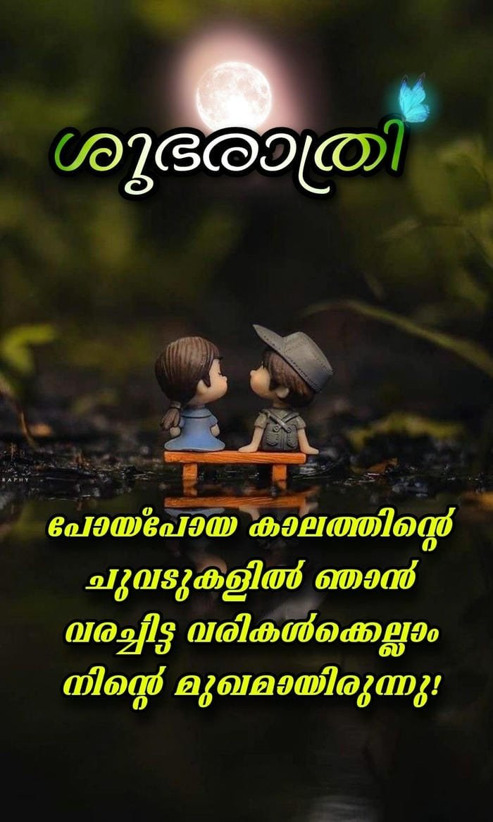 malayalam good night dreamy image