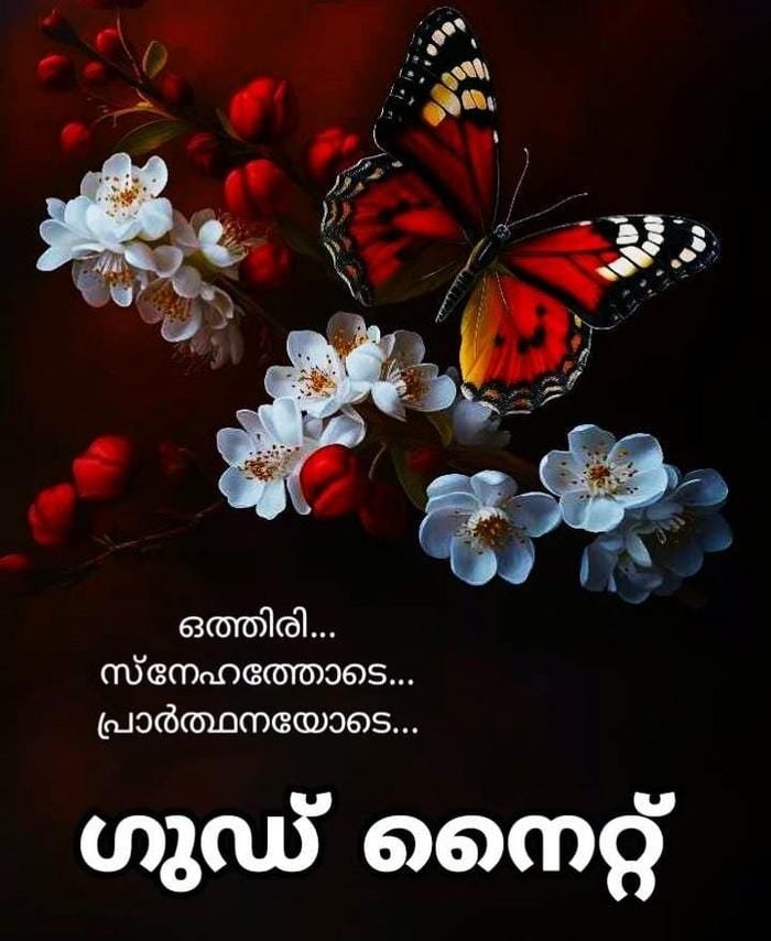 malayalam peaceful night scene