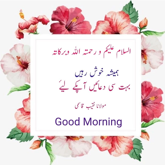 morning quotes in urdu with image