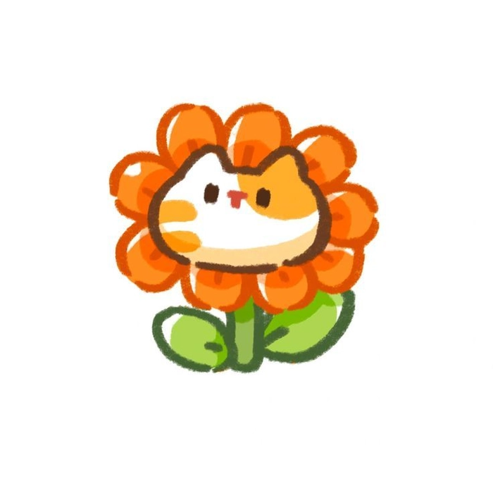 orange and white dp