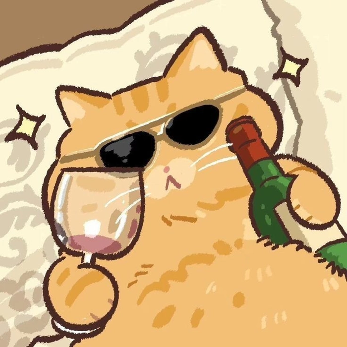 orange kitten pfp