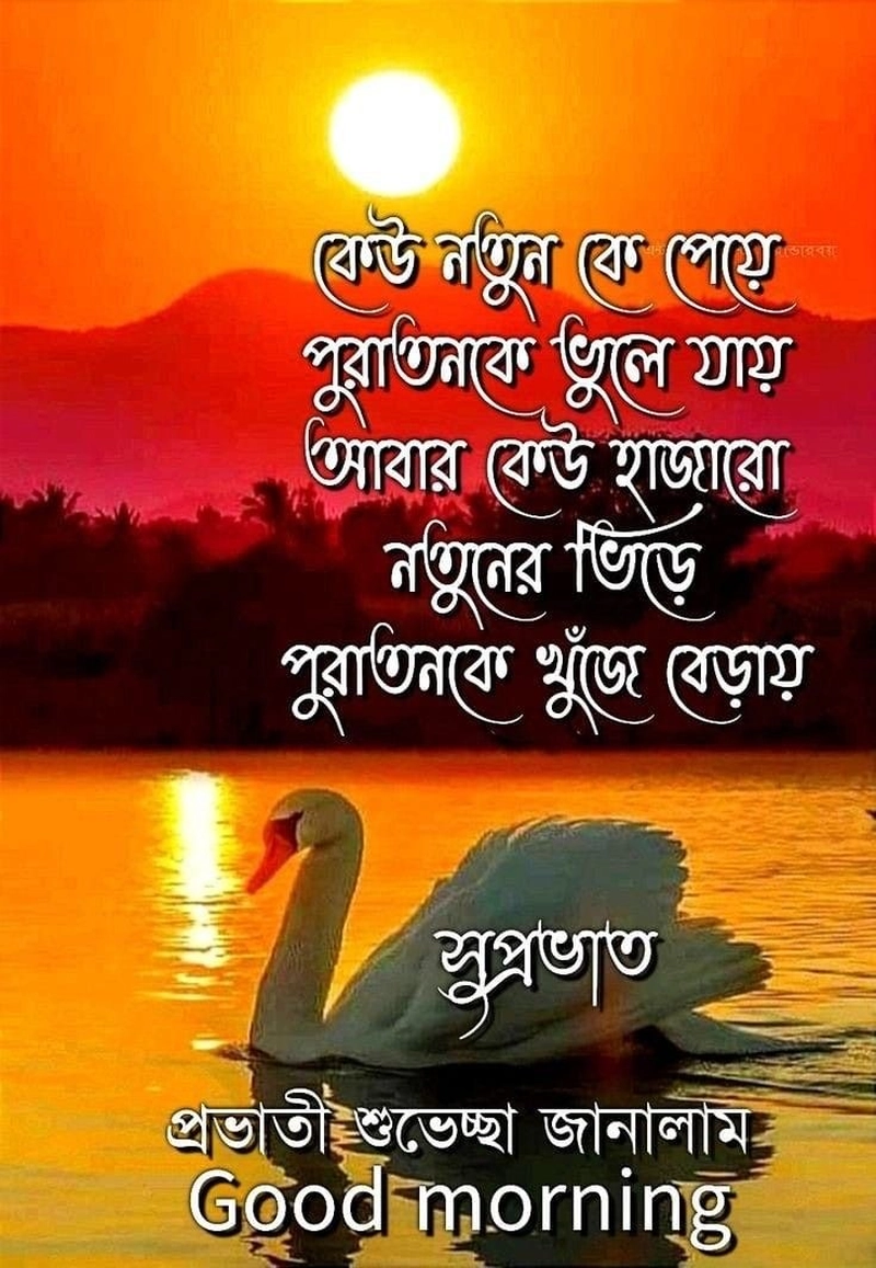 powerful motivational good morning images in bengali download