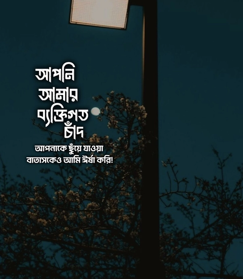 sad shayari bengali pic