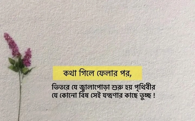 sad shayari in bangla text