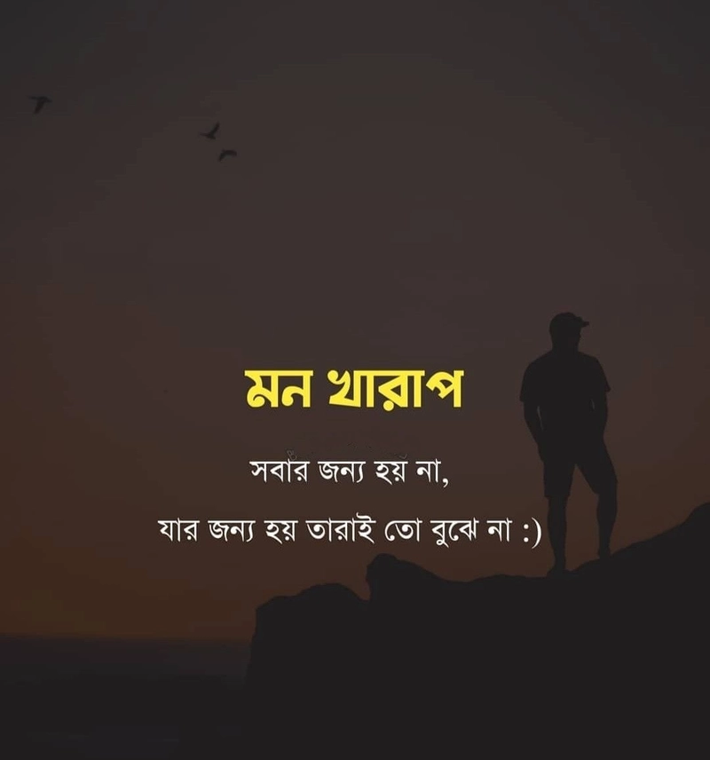sad shayari in bengali for boyfriend