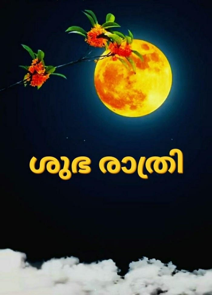 serene malayalam night photo