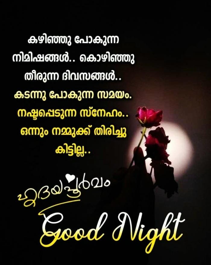 soft romantic malayalam night pic