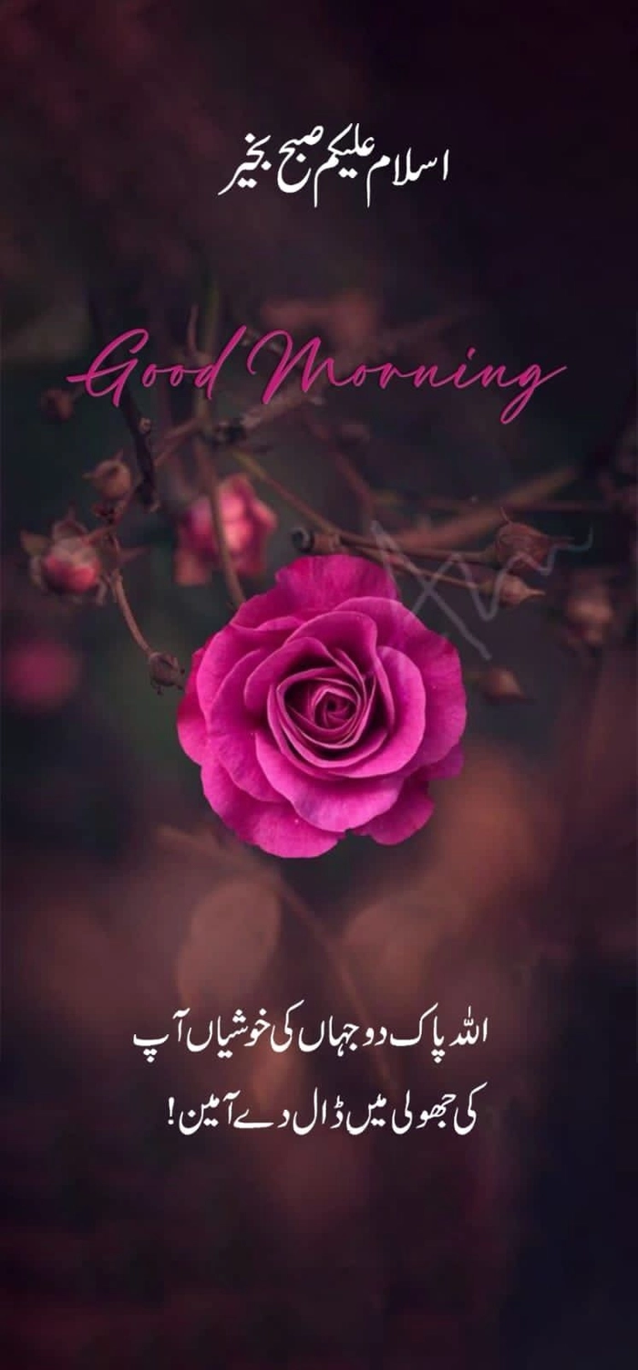 special good morning urdu pics