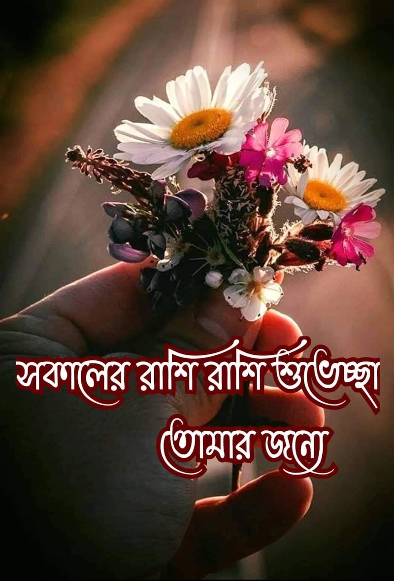 tuesday good morning images in bengali