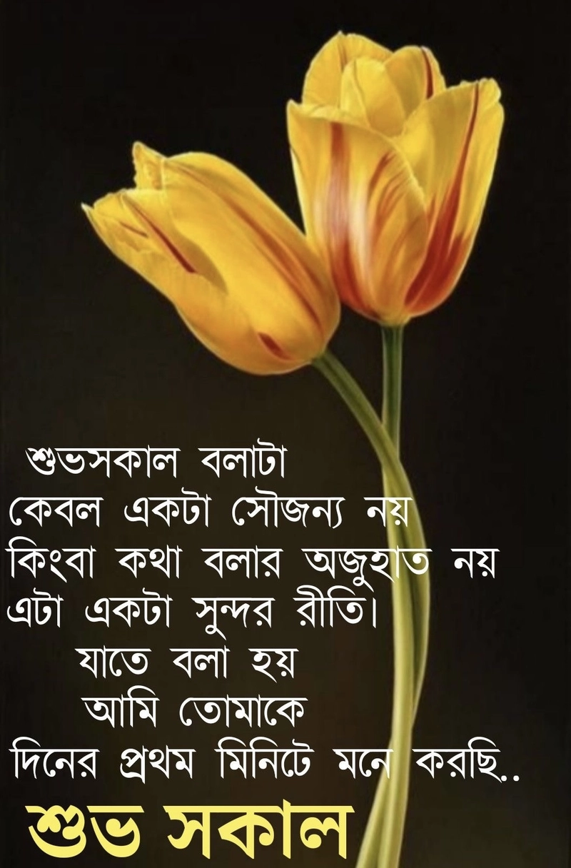 wednesday good morning images in bengali