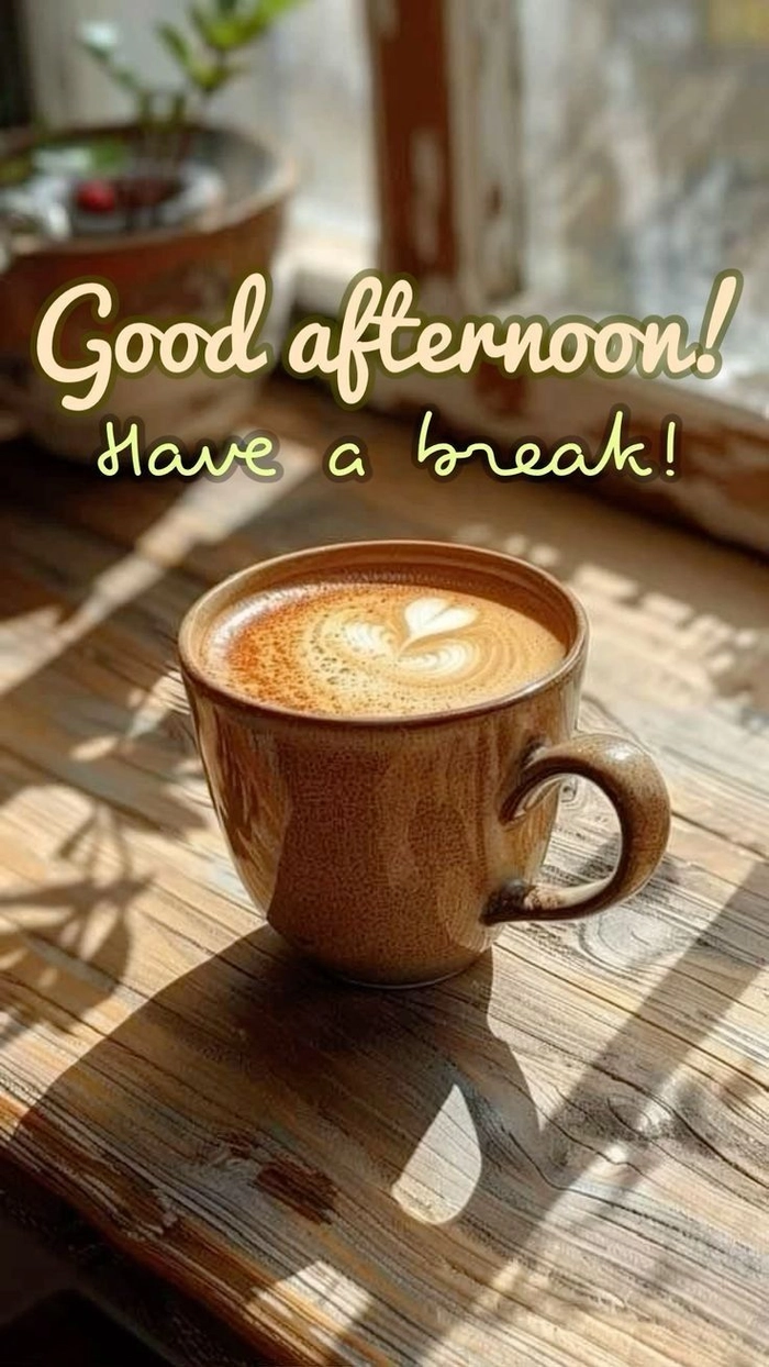 whatsapp good afternoon