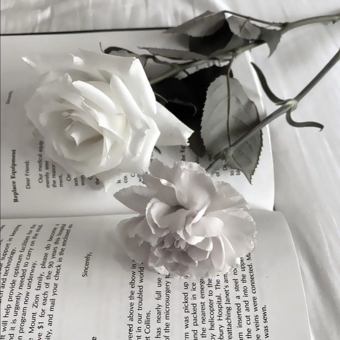 white pfp aesthetic