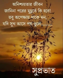 Top 188+ Bengali Good Morning Images With Quotes HD