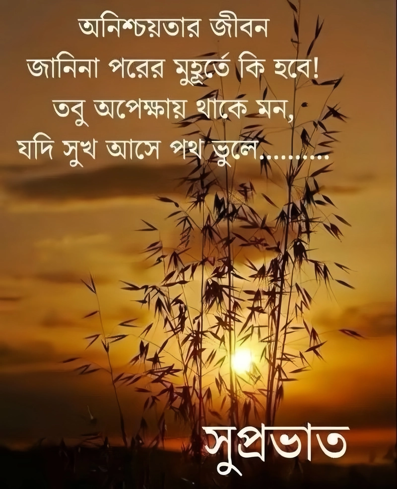 winter good morning images in bengali