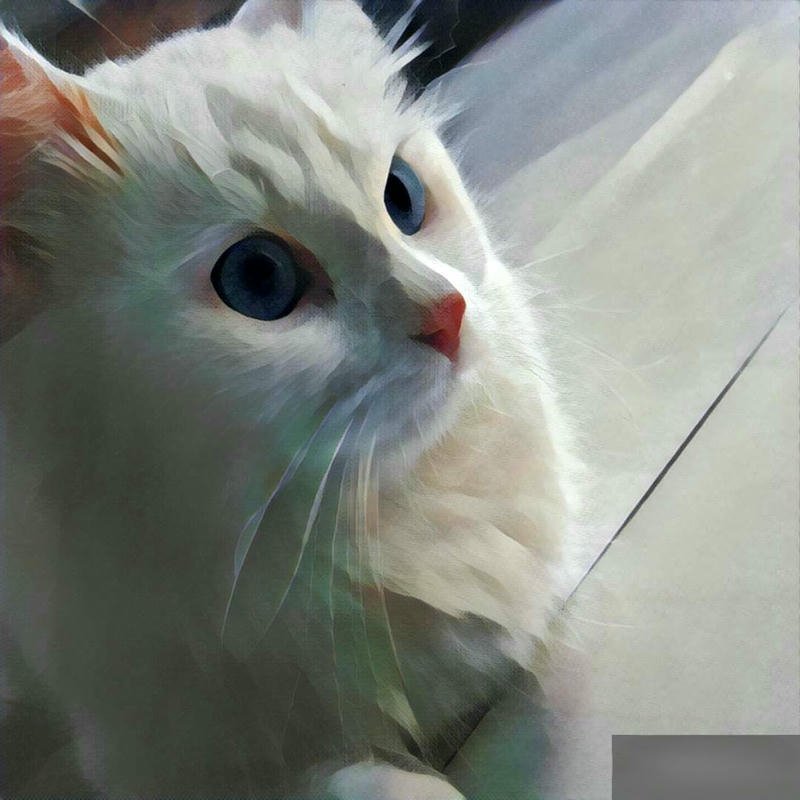 cool beautiful dp for whatsapp