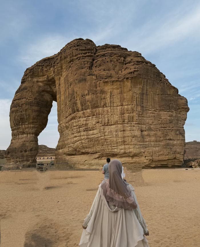 elegant pose abaya girl dp