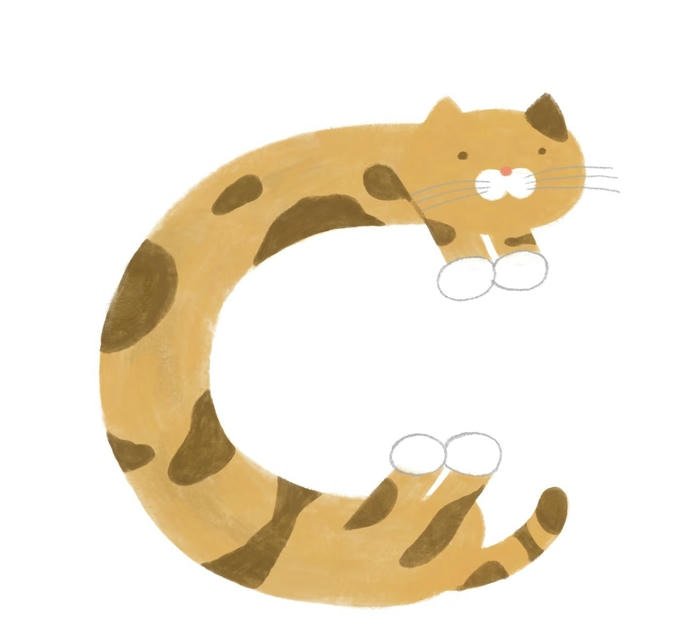 initial c profile dp