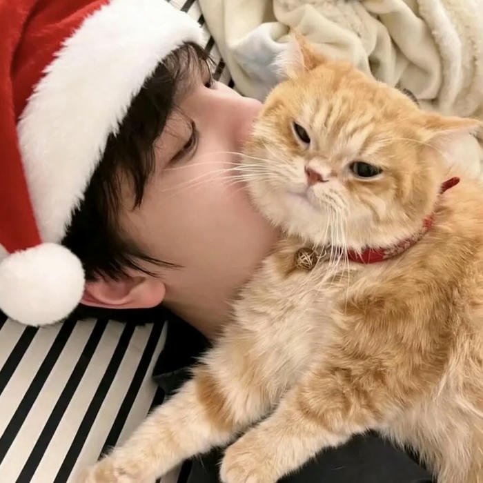 Clean boy dp matching modern cute aesthetics