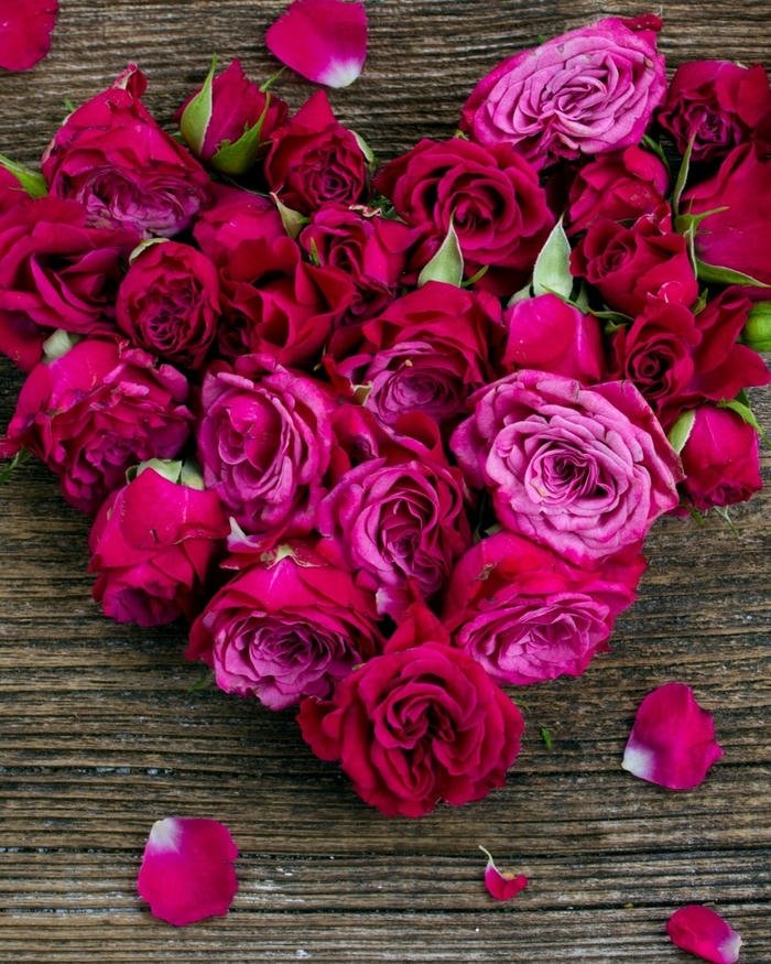 HD Love rose image elegant rose love wallpaper