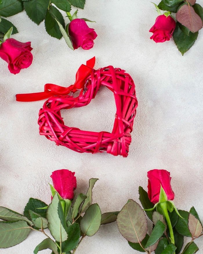 Image love rose hd romantic red rose beauty