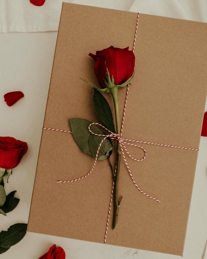 Image love rose hd romantic valentine flower scene