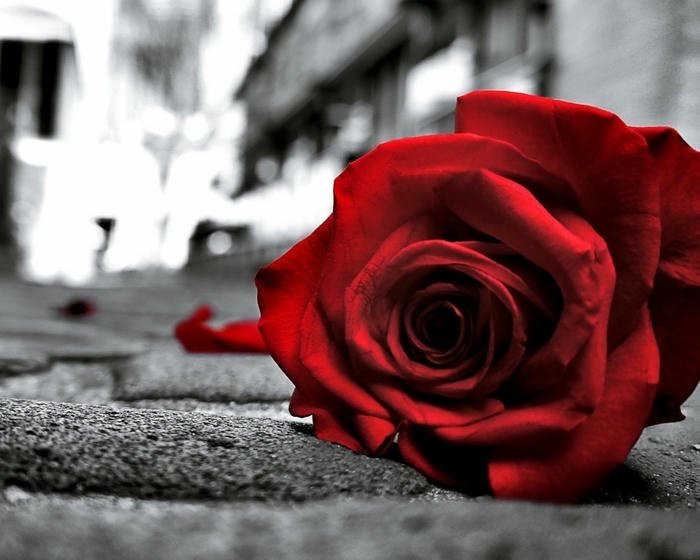 Images sad in love deep sorrow love loss night