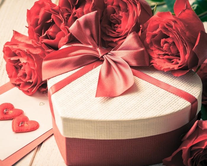 Love rose image hd dreamy romantic flower style