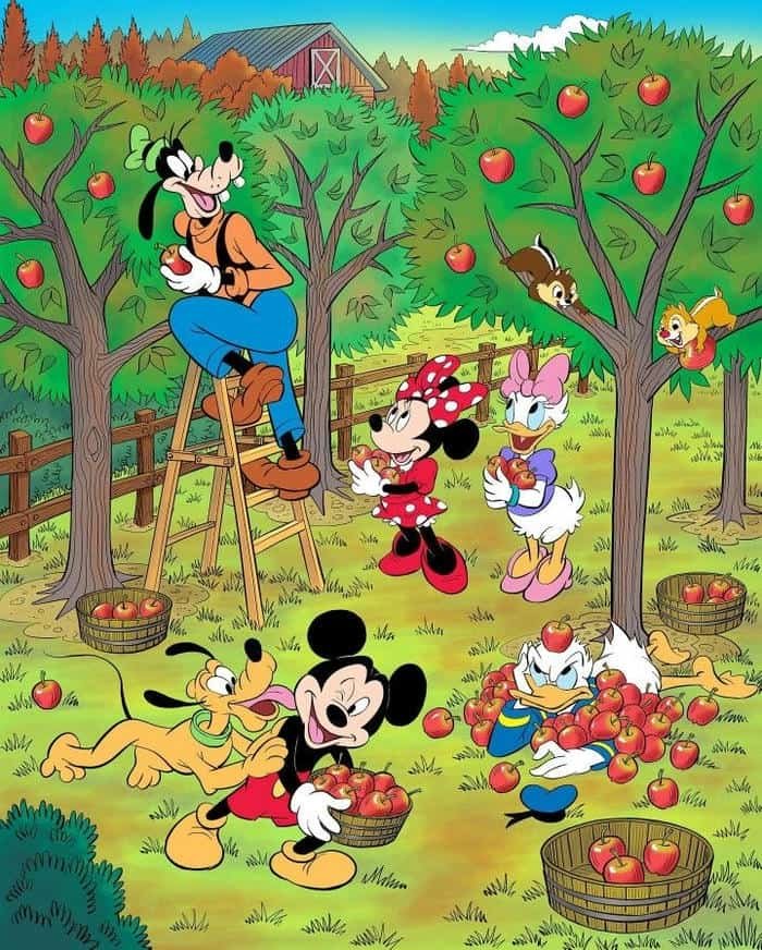 Minimal Cartoon DP Aesthetic Clean Design