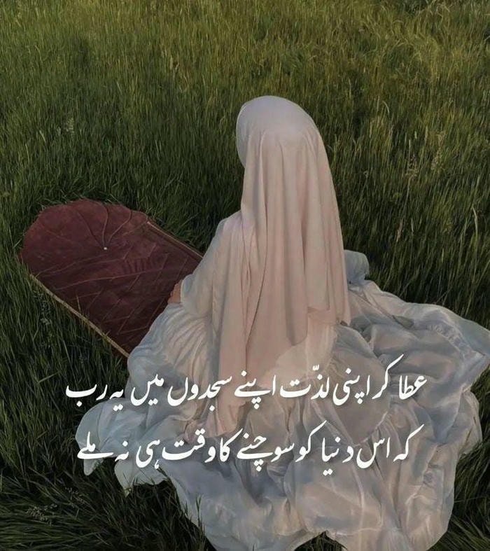 Minimal girl shayari dp