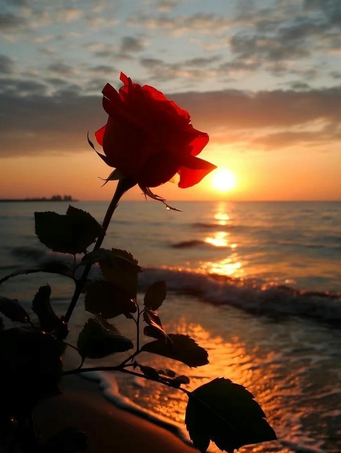 Sad love dp heartbreak mood emotional profile picture theme