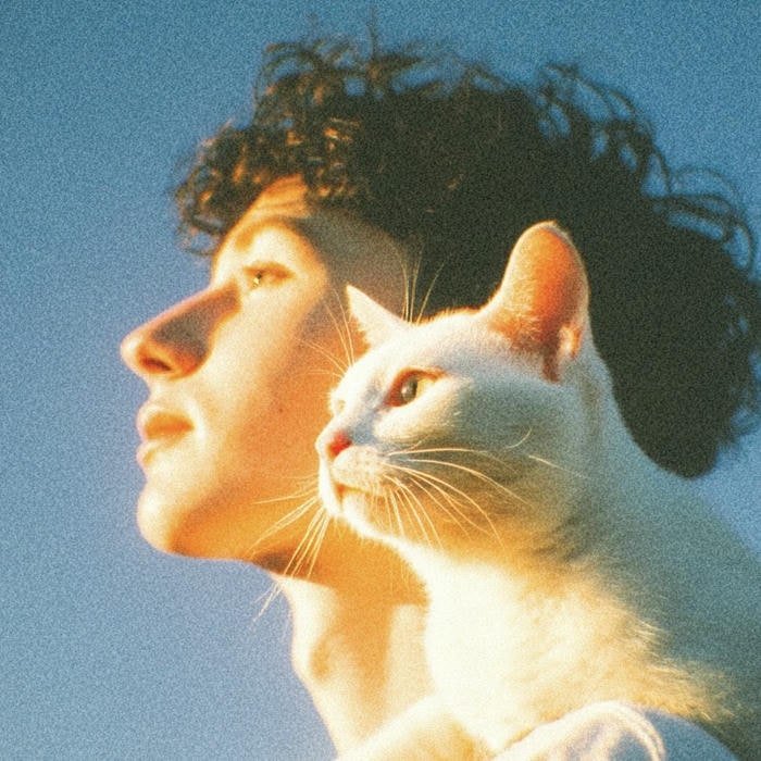 Tender boy avatar suitable for calm profiles