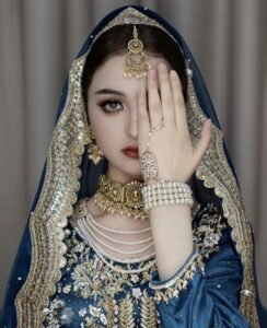 Timeless style saree girl dp portrait