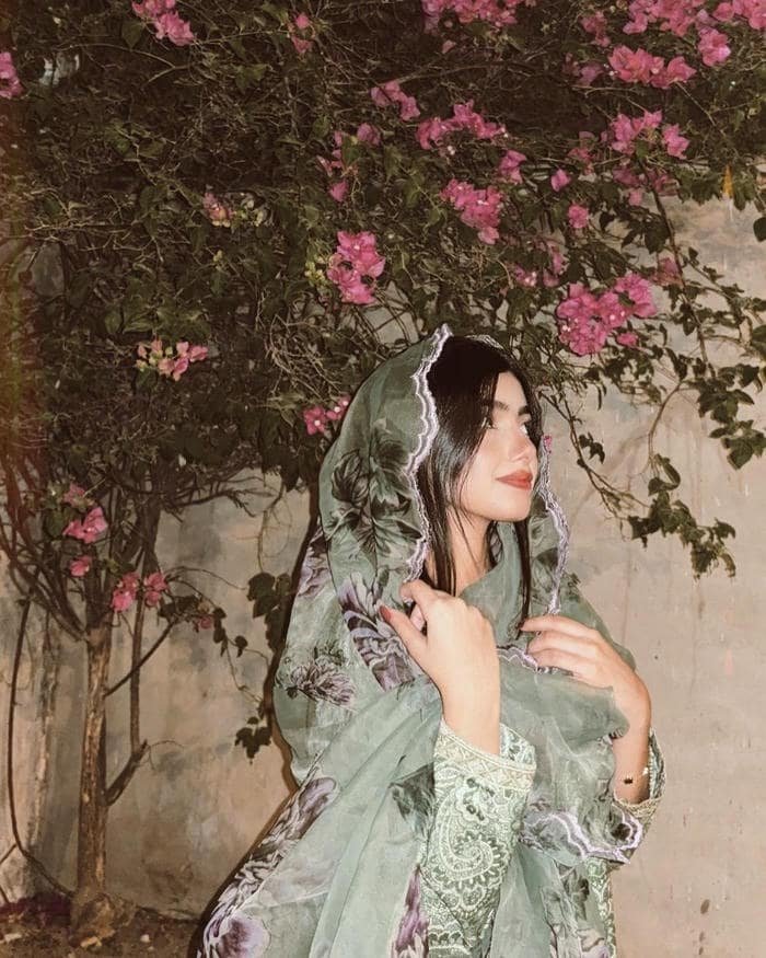 classic kashmiri girls dp ethnic style