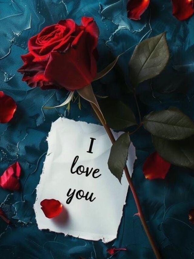 90+ Love rose image HD collection with stunning details