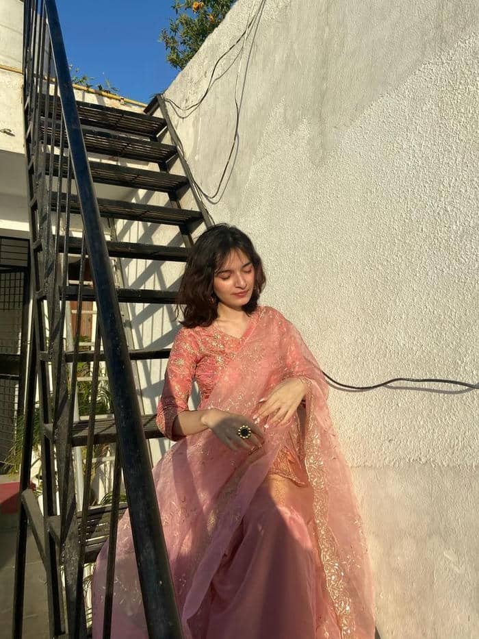 elegant punjabi girls dp graceful vibe