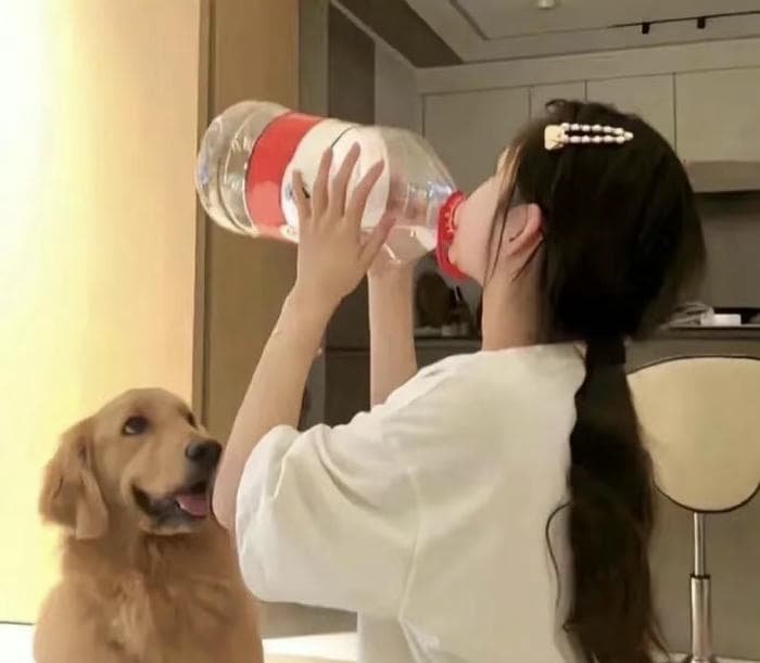 giggle girl dp frame