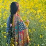 soft punjabi girls dp portrait aesthetic