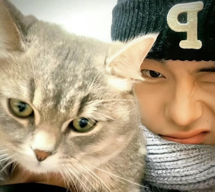 trendy cute boy whatsapp picture