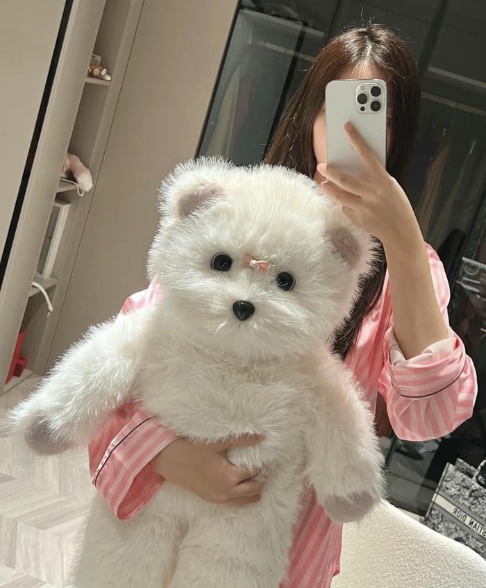 warm fuzzy feel in teddy bear girl dp