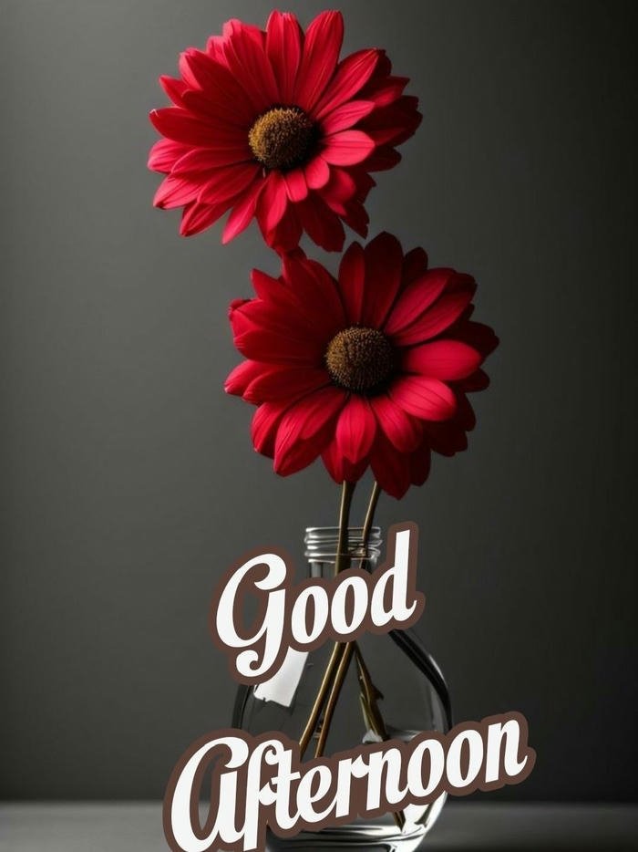 Afternoon love flowers two tall red gerberas dark style