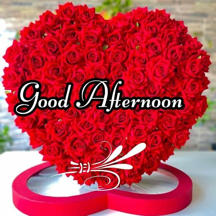 Good afternoon images love large red rose heart gift