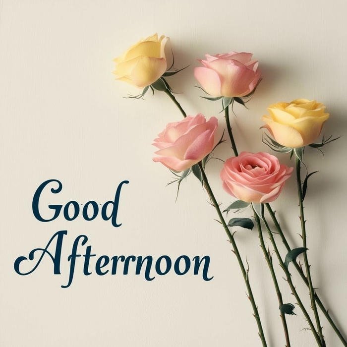 Good afternoon images love simple elegant white roses clean