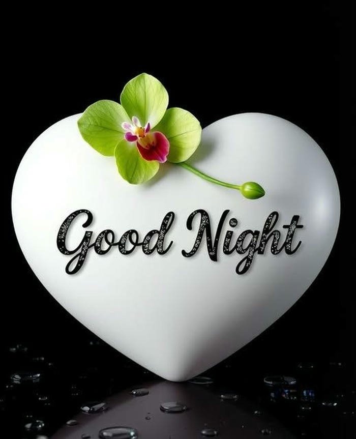 Good night my love images white heart stone green sprout